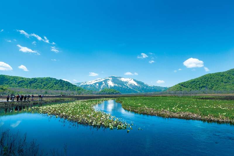 日本最大の山岳湿原「尾瀬国立公園」