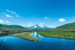 日本最大の山岳湿原「尾瀬国立公園」