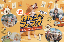 毎回大好評の「犬種別オフ会」もドッグランで開催