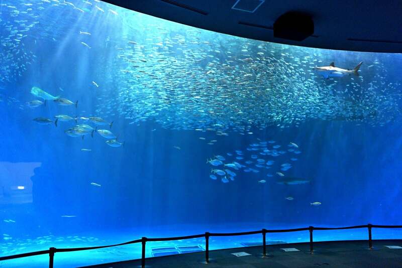 名古屋港水族館の外観