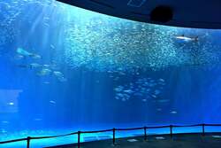 名古屋港水族館の外観