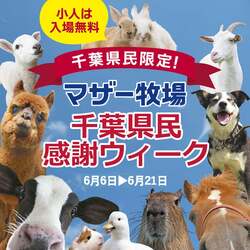 「子供の入場料が無料！千葉県民感謝ウィークがマザー牧場で開催　大人は200円引き」の写真