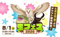 「登録者数1000万超の生き物系YouTuberが集結！　生フェス×バグフェスが平和島で開催」の写真