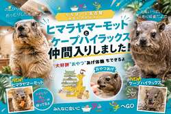 「巨大リスと好奇心旺盛な珍獣に会える！　名古屋の「アニタッチ」に新動物が仲間入り」の写真