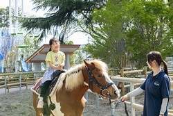 「カピバラ・カンガルーも仲間入り！清水公園のポニー牧場がリニューアル　屋内エリアも」の写真