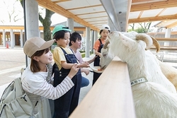 「カピバラ・カンガルーも仲間入り！清水公園のポニー牧場がリニューアル　屋内エリアも」の写真