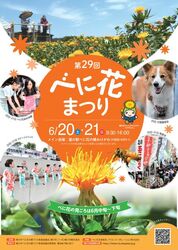 第29回 桶川べに花まつり