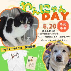 「【東京】2026年6月20日・21日週末開催の無料イベント10選 ビッグフリマ＆まちだEXPOも」の写真
