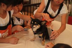 わんわん動物園がやってくる！