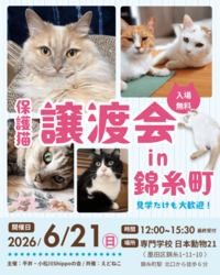 「【東京】今週末は新しい家族探しへ♪2026年6月20日・21日開催の保護犬猫譲渡会2選」の写真