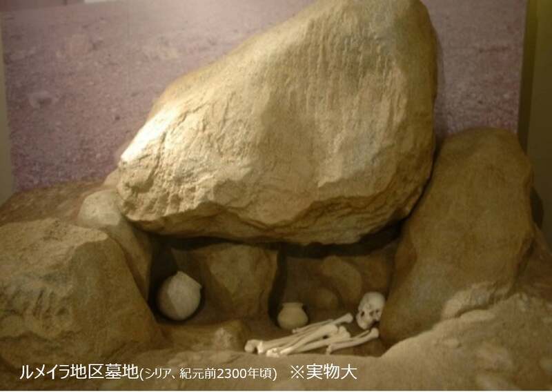 ルメイラ地区墓地（シリア、紀元前2300年頃）実物大模型
