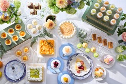 「【関東】夏休みもおすすめ！2026年7月の親子向けおでかけ先＆イベントまとめ」の写真