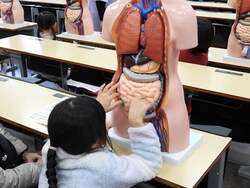 「大学で無料の実験教室！5歳から小学生が科学と医療を体験できるイベントが新潟で開催」の写真