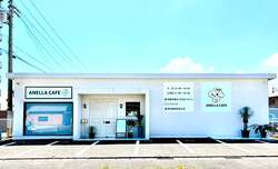 「未就学児は無料！保護犬猫と触れ合える「アネラカフェ 高松中央店」が香川にオープン」の写真