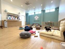 「未就学児は無料！保護犬猫と触れ合える「アネラカフェ 高松中央店」が香川にオープン」の写真