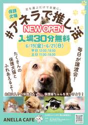 「保護犬・保護猫とふれあえるカフェが岡山市南区に2店舗目オープン！　未就学児無料」の写真
