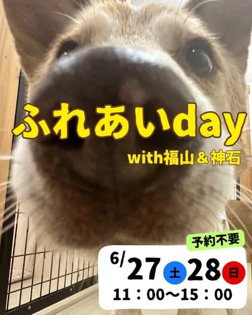 ふれあいday with神石＆福山