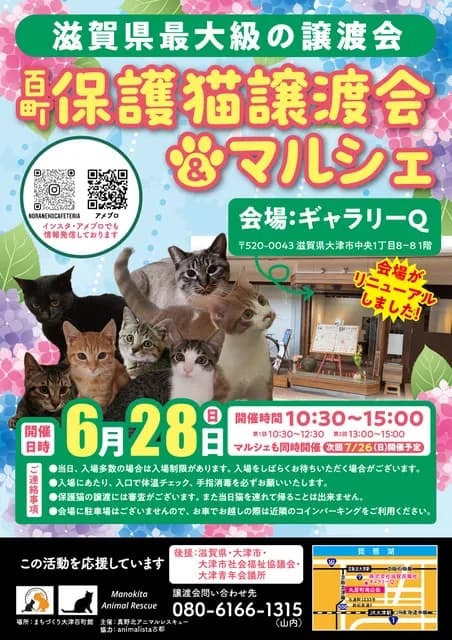 百町保護猫譲渡会＆マルシェ