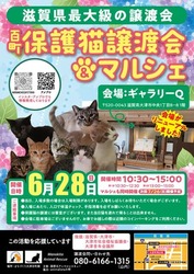 百町保護猫譲渡会＆マルシェ