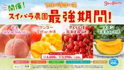 スイパラ農園 最強期間