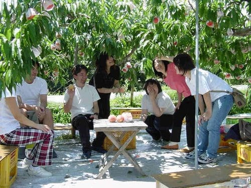 多種多様な味覚狩りが楽しめます！