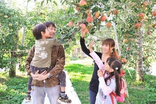  足元は、自然の土のままなので、動きやすいスニーカーがおすすめです