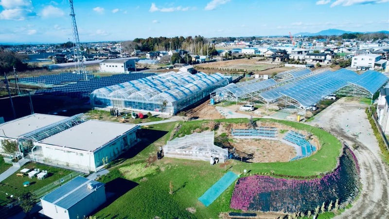 園内では、さまざまなフルーツや野菜を栽培しています！
