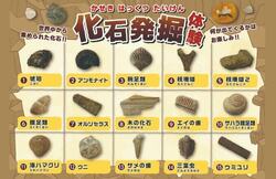 「9年ぶり開催！「ヨコハマ恐竜展2026〜恐竜の食卓大図鑑〜」がパシフィコ横浜で7月開幕」の写真