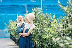 「時間無制限のブルーベリー狩り＆ピザ・アイス体験も！真岡市の体験型農園が今夏も営業」の写真