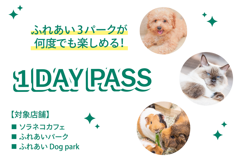 1DAY PASS