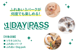 1DAY PASS