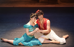The Ballet Show