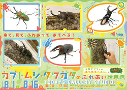 「ヘラクレスやサタンオオカブトも！浅草橋で「カブトムシ・クワガタのふれあい世界展」」の写真