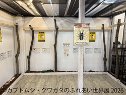 「ヘラクレスやサタンオオカブトも！浅草橋で「カブトムシ・クワガタのふれあい世界展」」の写真