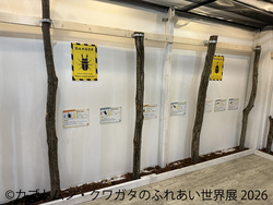 「ヘラクレスやサタンオオカブトも！浅草橋で「カブトムシ・クワガタのふれあい世界展」」の写真