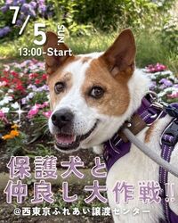 保護犬と仲良し大作戦！