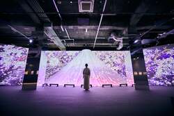 「50万人動員の浮世絵が青森に初上陸！　北斎や広重がデジタルアートで動き出す」の写真