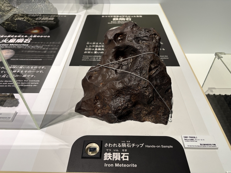 南極隕石コレクションのほか、実物に手をふれて手触りを確かめよう（DRP -78008,1 所蔵：国立局地研究所）