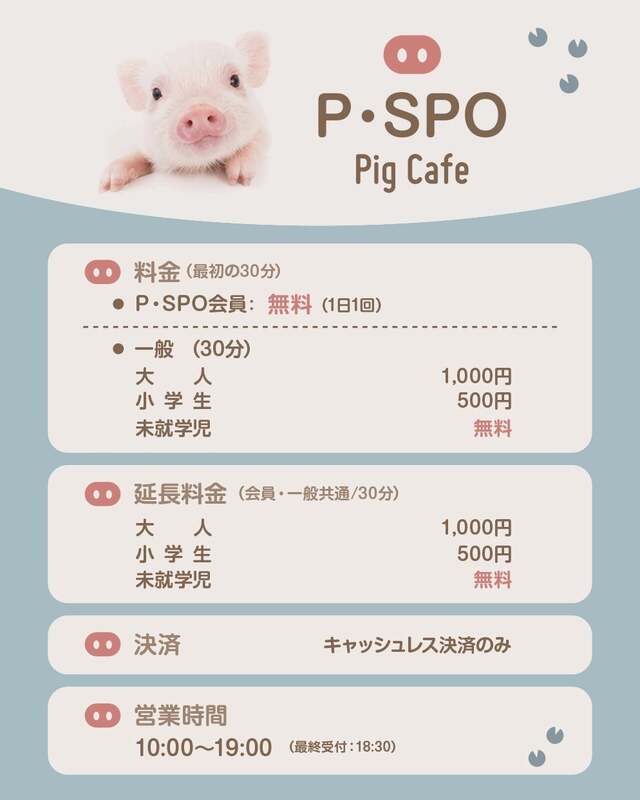 料金案内