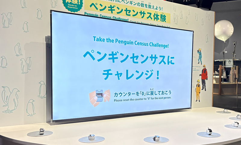 制限時間があるので、ついつい焦っちゃう…落ちついてチャレンジすれば正確な数を数えられます！
