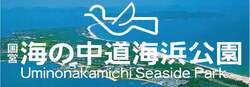 「7月4日にプール開き宣言！　海の中道海浜公園にサンシャインプールがオープン」の写真