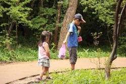 「【2026年夏の那須旅行】いこーよ厳選！夏休みに親子で楽しむ定番＆穴場スポット」の写真