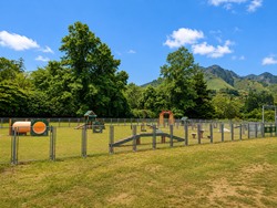 屋外ドッグラン内に設置予定のアジリティ