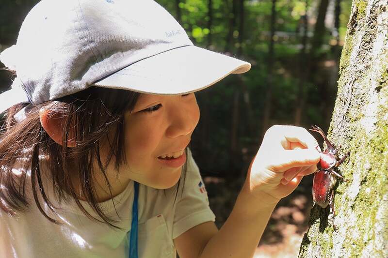 夏休みの思い出に