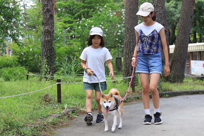 ワンちゃんも楽しめる