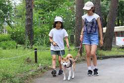 ワンちゃんも楽しめる