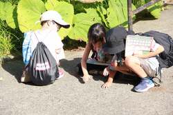 「木の実の妖精と森を大冒険！無料イベント「たきの森フェス」が滝野公園に」の写真