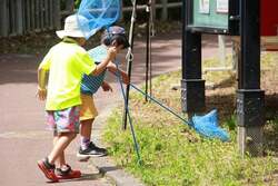 「木の実の妖精と森を大冒険！無料イベント「たきの森フェス」が滝野公園に」の写真