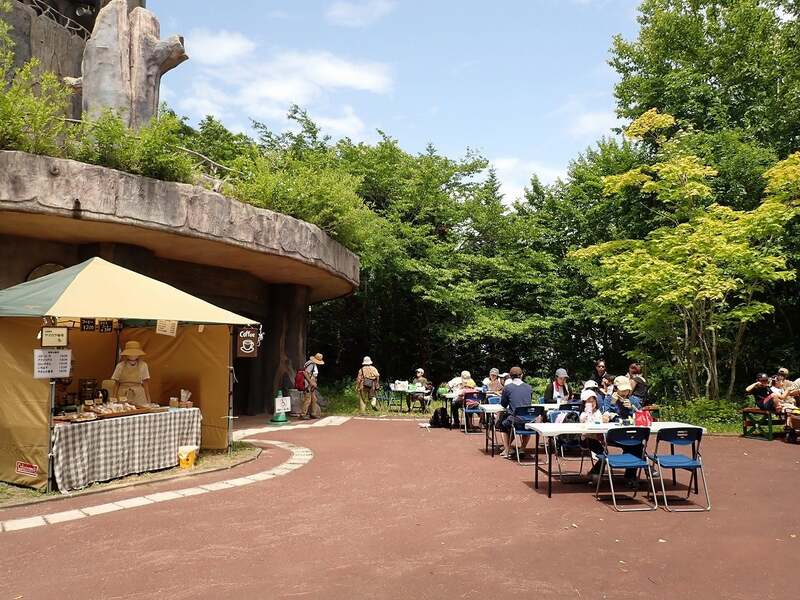森カフェ