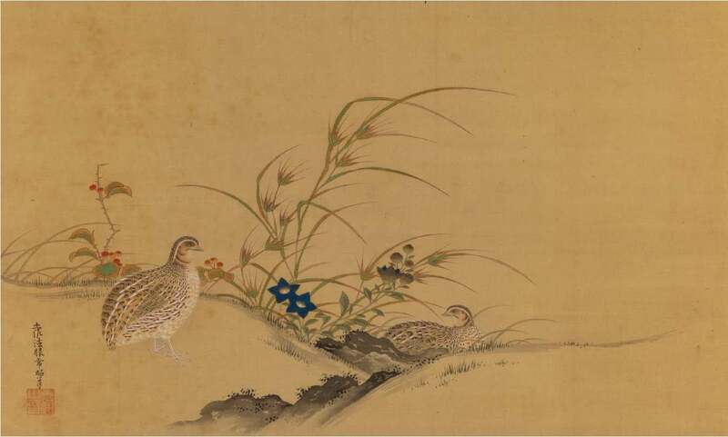 土佐光起《秋草鶉之図》豊橋市美術博物館蔵